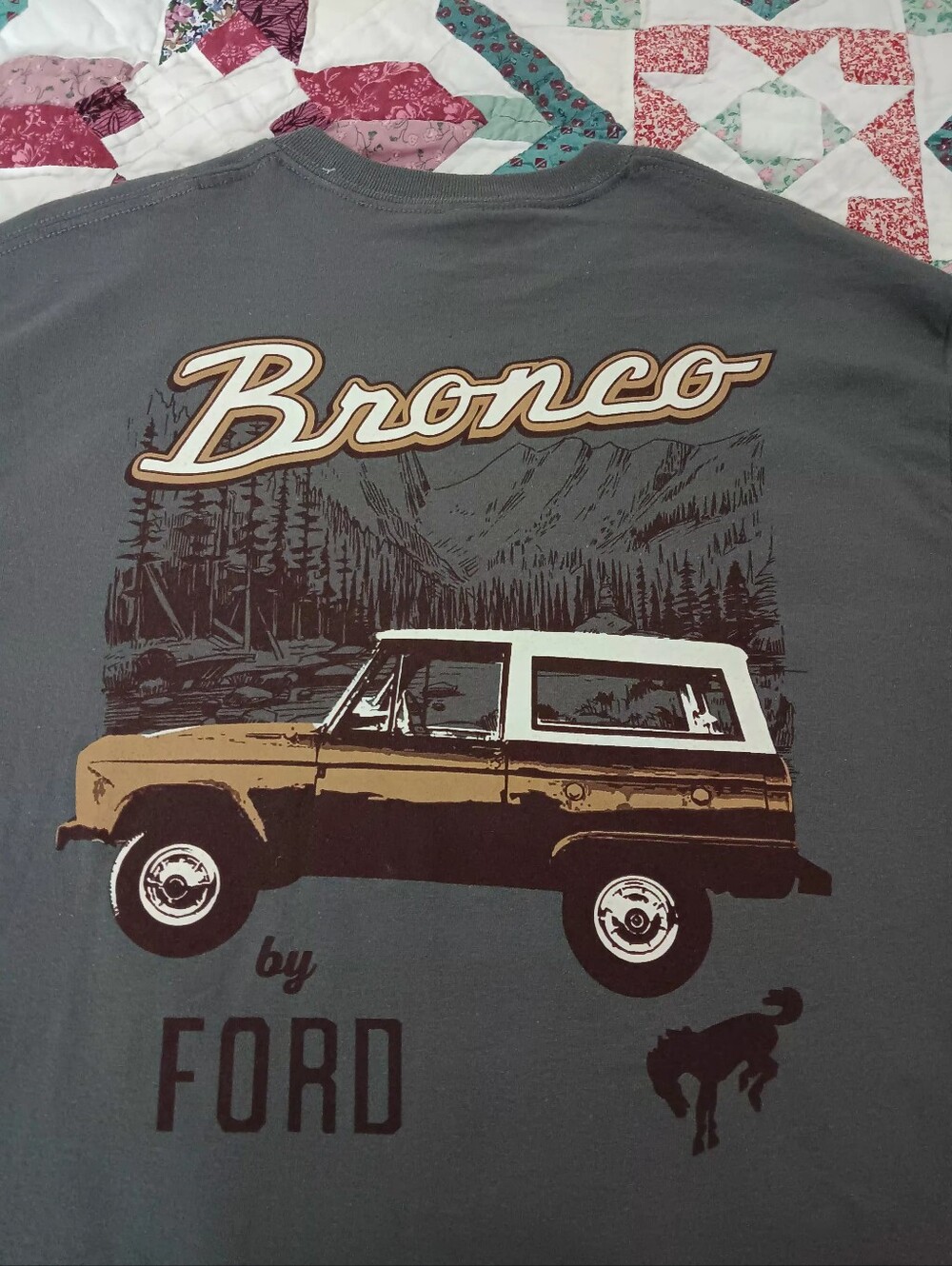 Bronco Gray T-Shirt - Picture 4 of 10